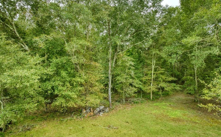 Pictures of Land property located at 0 Mark Orton Lane, Moultrie, GA 31771 for sales - image #1
