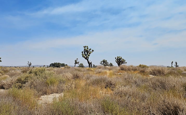 Pictures of Land property located at 90th St East & Avenue I-4, Lancaster, CA 93535 for sales - image #1