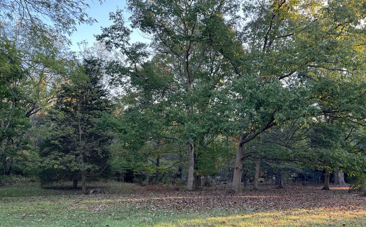 Pictures of Land property located at Lot 462 Carriage Road, Powell, OH 43065 for sales - image #1