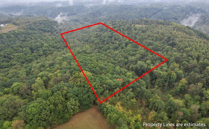 Pictures of Land property located at 24780 Buena Vista Road, Rockbridge, OH 43149 for sales - image #1