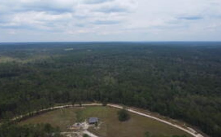 Pictures of Land property located at 1365 Lot 4 Dairy Road, Ridge Spring, SC 29129 for sales - image #1