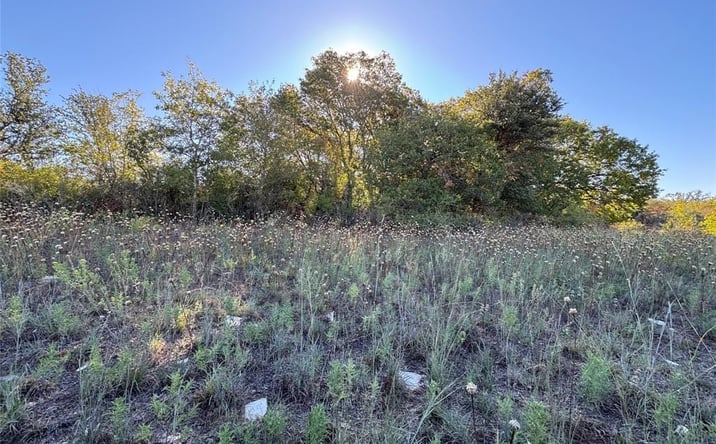 Pictures of Land property located at TBD Mason Court, Dublin, TX 76446 for sales - image #1