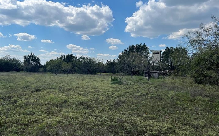 Pictures of Land property located at Co Rd 386, Carlton, TX 76436 for sales - image #1