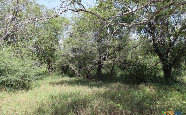 Pictures of Land property located at 14135 County Rd 1144, Sinton, TX 78387 for sales - image #1