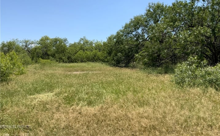Pictures of Land property located at Tract 3 - 21 acre lot, Sinton, TX 78387 for sales - image #1