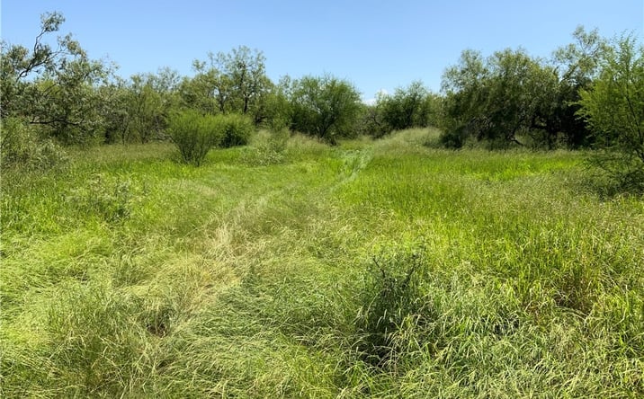 Pictures of Land property located at Tract 2 - 21 acre lot, Sinton, TX 78387 for sales - image #1