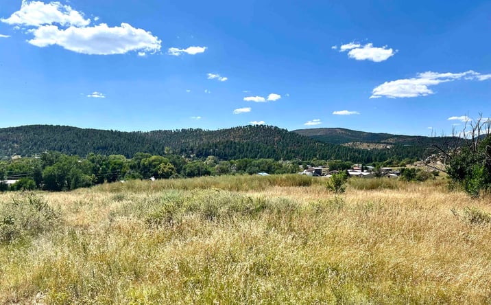 Pictures of Land property located at TBD CR A11A Gethsemane Road Road, Las Vegas, NM 87701 for sales - image #1
