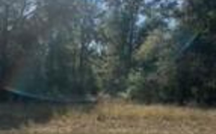 Pictures of Mixed Use property located at Tbd Hwy 64, Barnwell, SC 29812 for sales - image #1