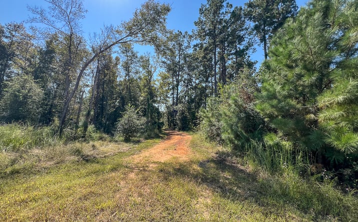 Pictures of Land property located at 0 Off County Road 2925, Weches, TX 75844 for sales - image #1
