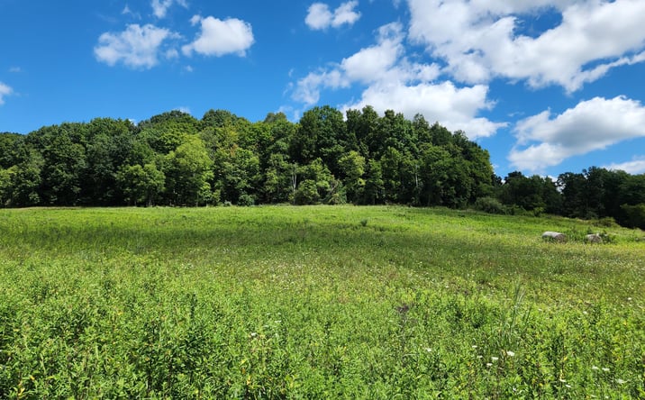 Pictures of Land property located at 34978 SR 681 Road, Albany, OH 45710 for sales - image #1