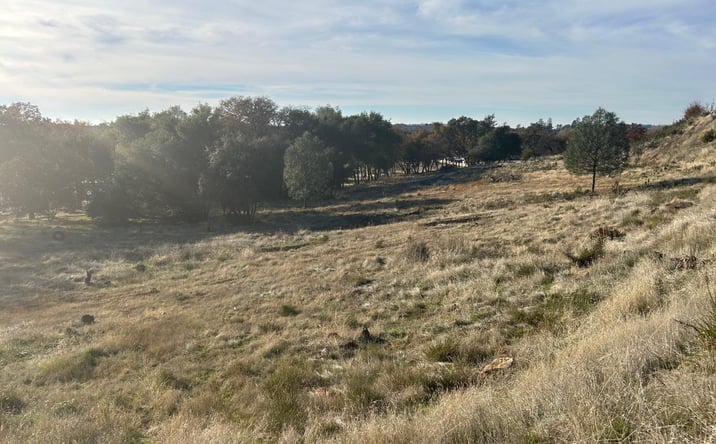 Pictures of Land property located at 4220 Business Dr, Shingle Springs, CA 95682 for sales - image #1