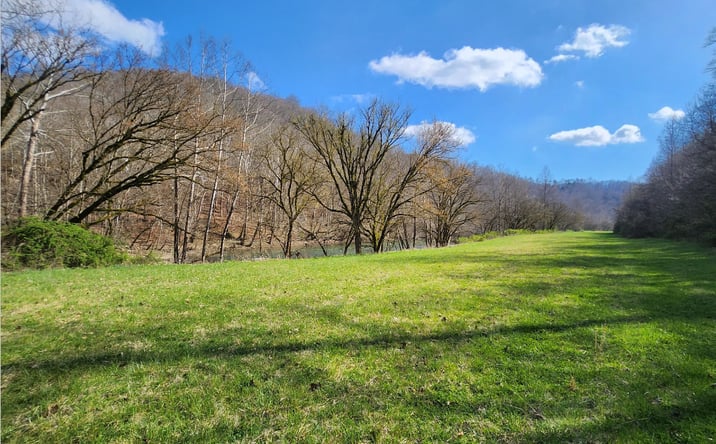 Pictures of Land property located at Crane Hill Rd, Harrogate, TN 37752 for sales - image #1