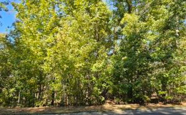 Pictures of Land property located at Tbd Stonehaven Drive, Aiken, SC 29803 for sales - image #1