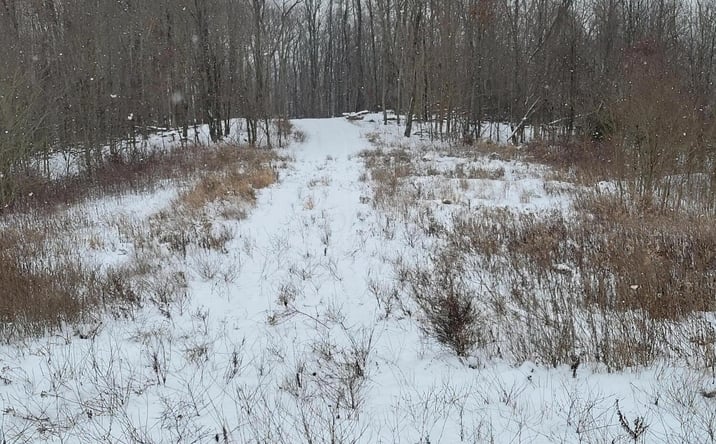 Pictures of Land property located at 0 Goosecreek Road, Roseville, OH 43777 for sales - image #1
