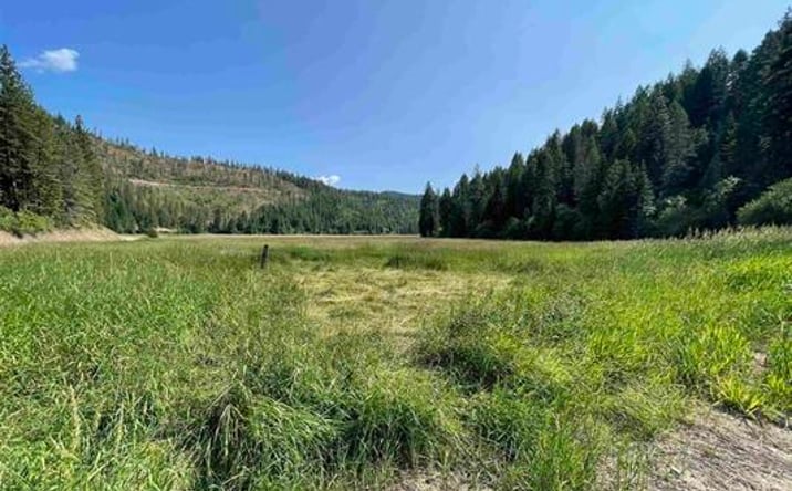 Pictures of Land property located at 41XX N Deer Lake Rd, Loon Lake, WA 99148 for sales - image #1