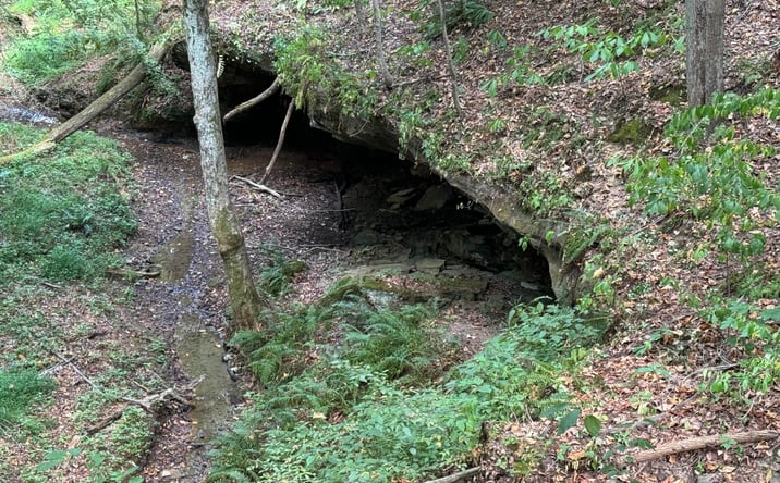 Pictures of Land property located at 41455 State Route 684, Albany, OH 45710 for sales - image #1