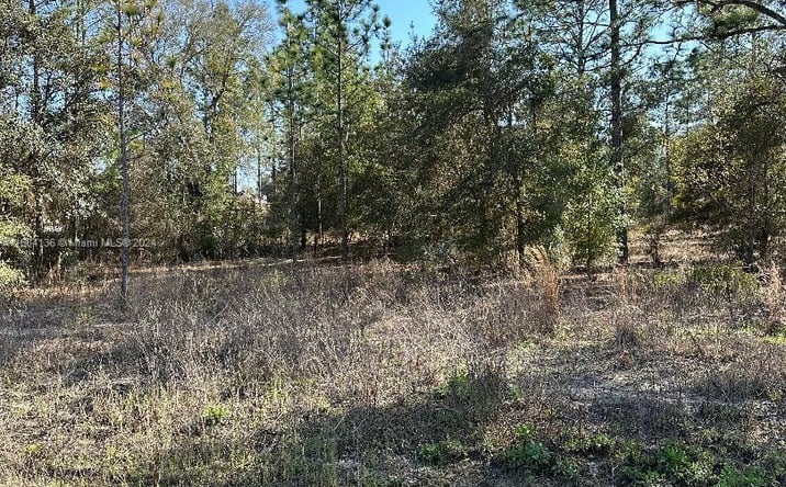 Pictures of Special Purpose property located at Southwest Admiral Landing Dr Dunnellon., Ocala, FL 34431 for sales - image #1