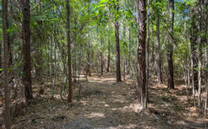 Pictures of Land property located at Lot 1 Hard Pinch Road, Moncks Corner, SC 29461 for sales - image #1