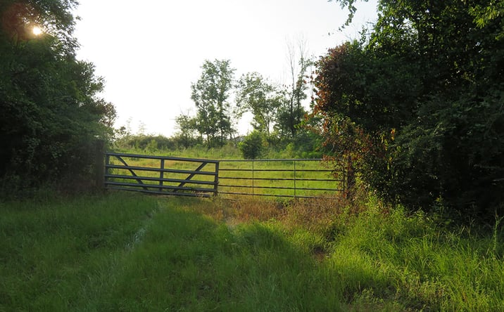 Pictures of Land property located at County Line Rd, Lumpkin, GA 31815 for sales - image #1