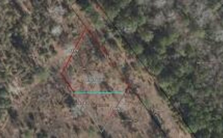 Pictures of Land property located at 4 Ac Tbd Shad Road, Williston, SC 29853 for sales - image #1