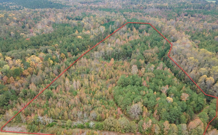 Pictures of Land property located at 00 S. Pine Street/Highway 176, Pacolet, SC 29372 for sales - image #1