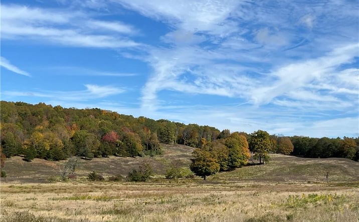 Pictures of Land property located at Woodward Hill,Stissng Mount, Hicks Hill, Route 199, Pine Plains, NY 12567 for sales - image #1