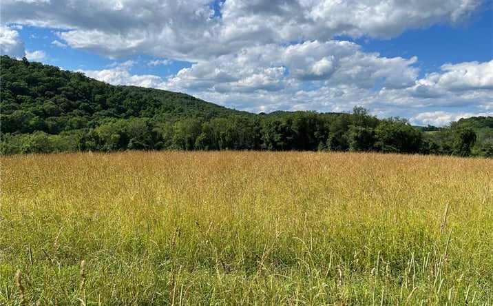 Pictures of Land property located at Perrys Corners Road, Amenia, NY 12501 for sales - image #1