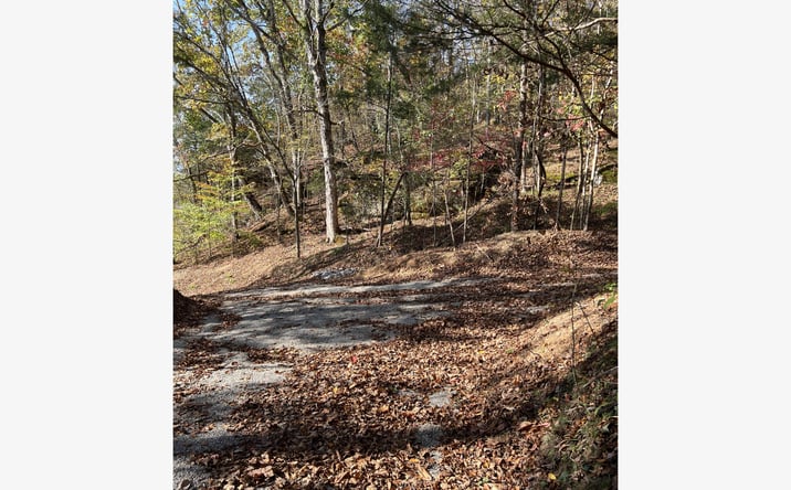 Pictures of Land property located at Cane Creek Rd, Hohenwald, TN 38462 for sales - image #1