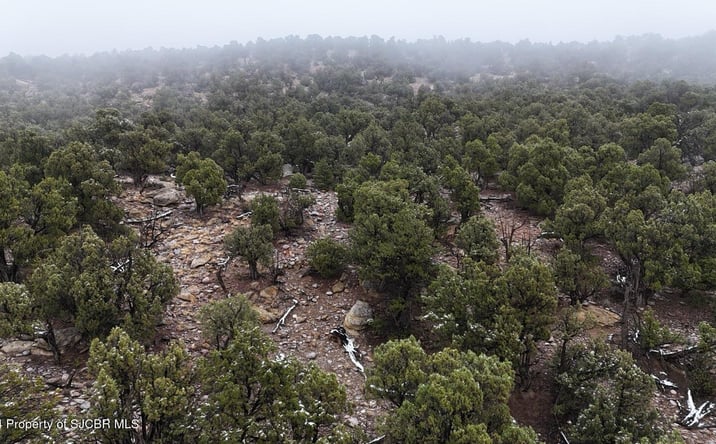 Pictures of Land property located at XXX 2.405 AC NM 511, Navajo Dam, NM 87419 for sales - image #1