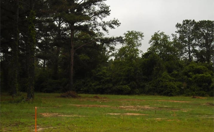 Pictures of Land property located at Lot 20 Will Road, Moultrie, GA 31768 for sales - image #1