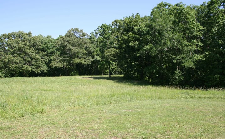 Pictures of Land property located at 000 Brodies Landing, Parsons, TN 38363 for sales - image #1