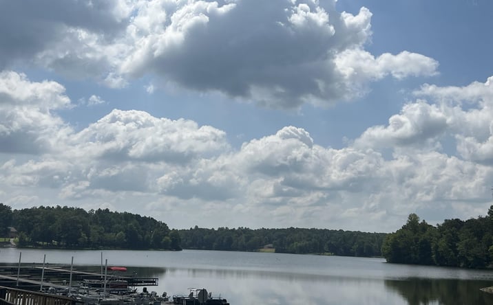Pictures of Land property located at 116 Zara Spook (Lot 139), Cedar Grove, TN 38321 for sales - image #1