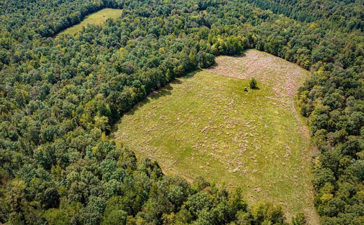 Pictures of Land, Special Purpose property located at 2642 Brodies Landing Road, Parsons, TN 38363 for sales - image #1
