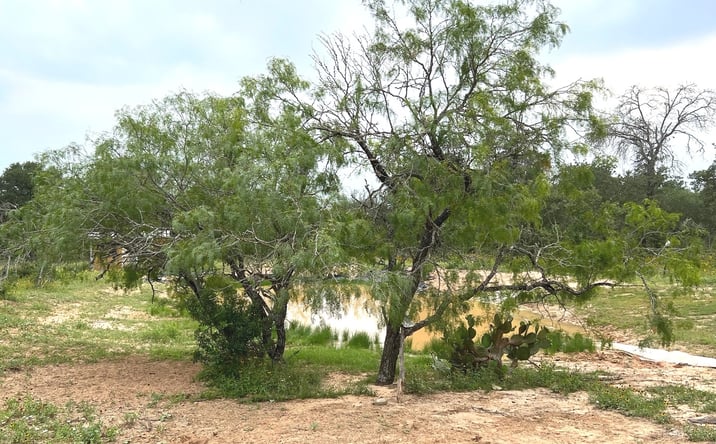 Pictures of Land property located at 606 Sherrywood Ln, San Antonio, TX 78264 for sales - image #1
