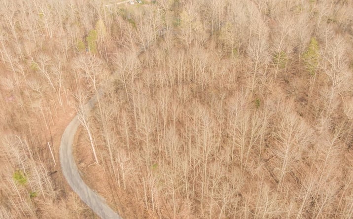 Pictures of Land property located at XXX RIVER SPRING Road, Parsons, TN 38363 for sales - image #1