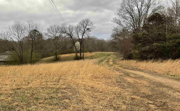 Pictures of Land property located at 387 Old Huntingdon Street, Lexington, TN 38351 for sales - image #1