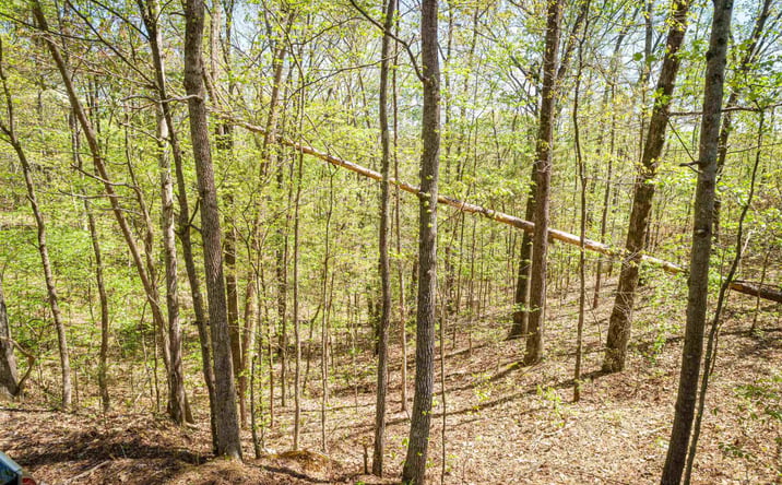 Pictures of Land property located at Lots 172 & 165 Fawn Ridge Road, Parsons, TN 38363 for sales - image #1