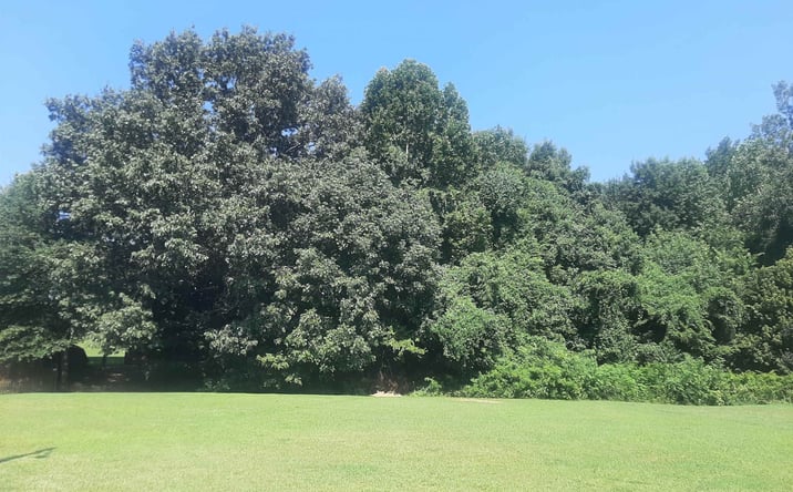 Pictures of Land property located at 102 Westwood Cove, Dyersburg, TN 38024 for sales - image #1