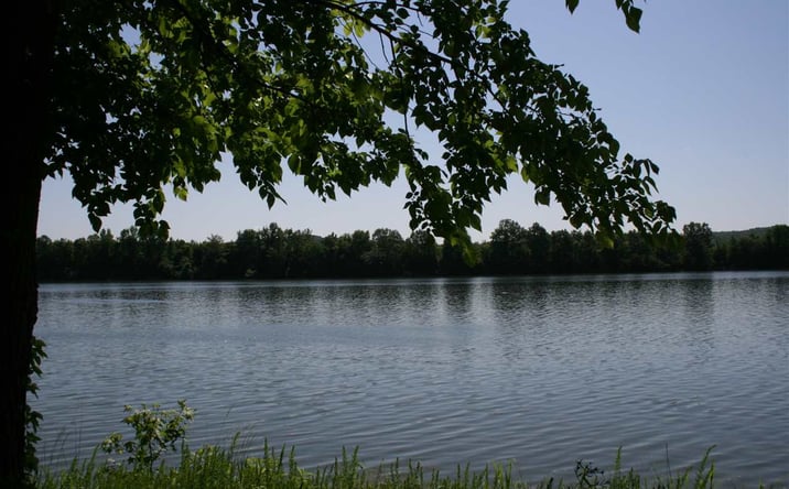 Pictures of Land property located at 000 Poplar Ridge, Parsons, TN 38363 for sales - image #1