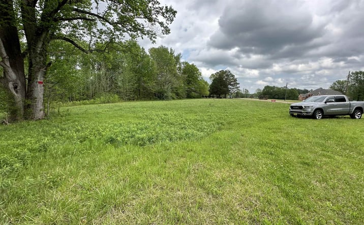 Pictures of Land property located at 3505 Christmasville Rd Tract 2 Road, Oakfield, TN 38362 for sales - image #1