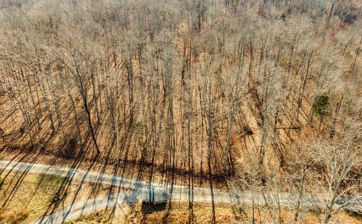 Pictures of Land property located at LOT 48 BERLIN Drive, Parsons, TN 38363 for sales - image #1