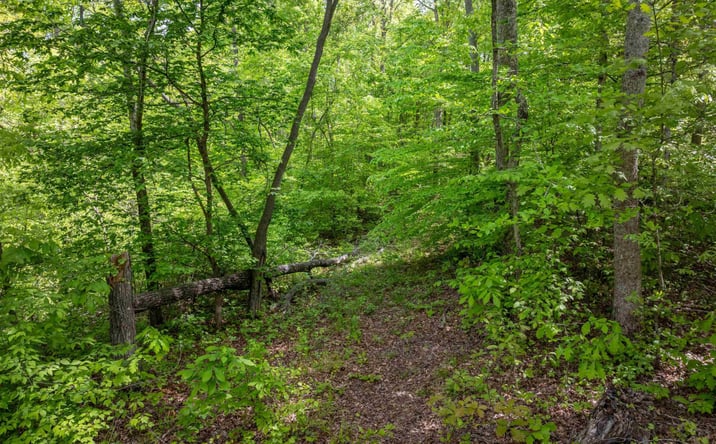 Pictures of Land property located at 0 Cedar Hill Rd, Parsons, TN 38363 for sales - image #1