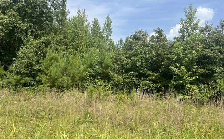 Pictures of Land property located at 000 Sweetlips Road, Henderson, TN 38340 for sales - image #1