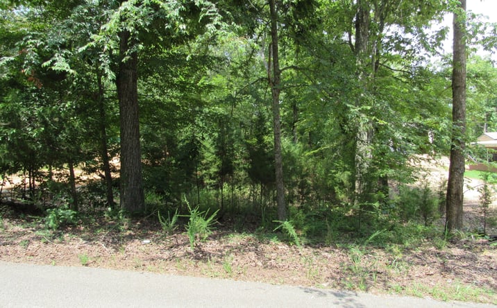 Pictures of Land, Multifamily property located at 0 Brown Bluff Lane, Sugar Tree, TN 38380 for sales - image #1