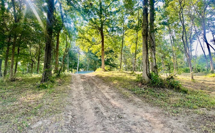 Pictures of Land property located at 3411 Cecil Roberts Road, Troy, TN 38260 for sales - image #1