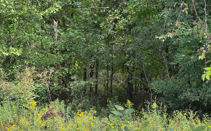 Pictures of Land, Multifamily property located at 444 Charlie Lewis Road, Trenton, TN 38382 for sales - image #1