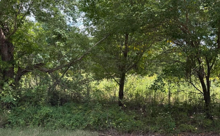 Pictures of Land, Multifamily property located at 333 Charlie Lewis Road, Trenton, TN 38382 for sales - image #1