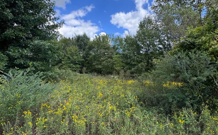 Pictures of Land, Multifamily property located at 555 Charlie Lewis Road, Trenton, TN 38382 for sales - image #1