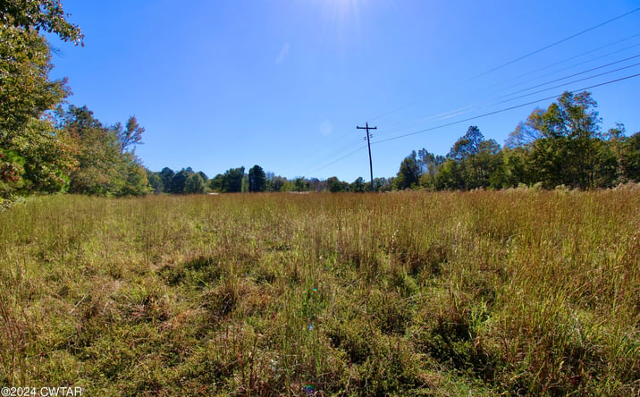 Pictures of Land property located at Old Stage Road, Decaturville, TN 38329 for sales - image #1