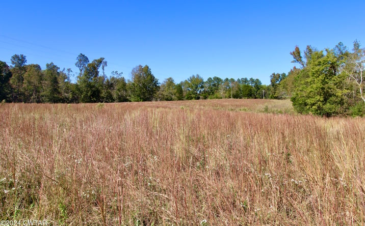 Pictures of Land, Multifamily property located at 000 Old Stage Road, Decaturville, TN 38329 for sales - image #1